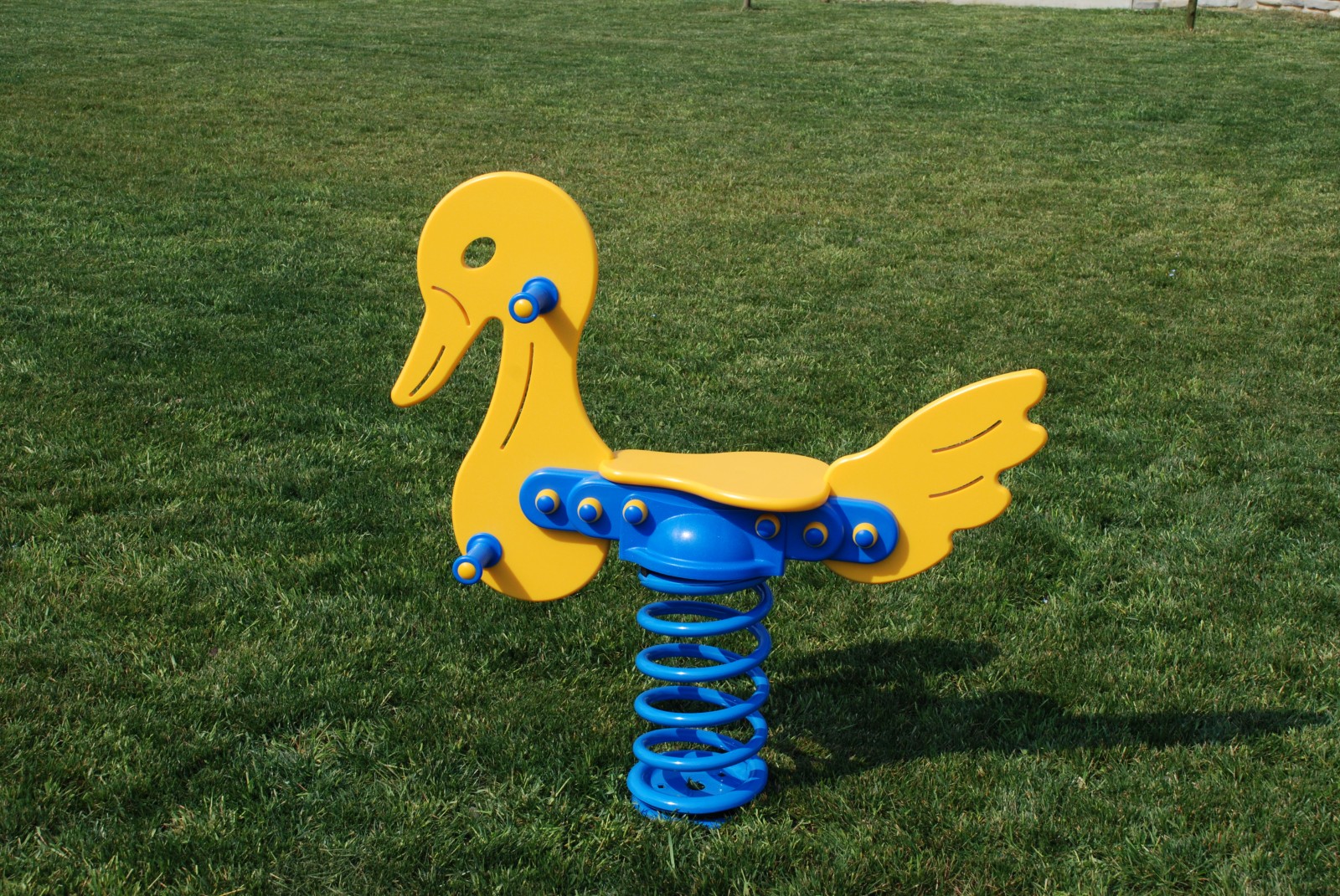 Cigno