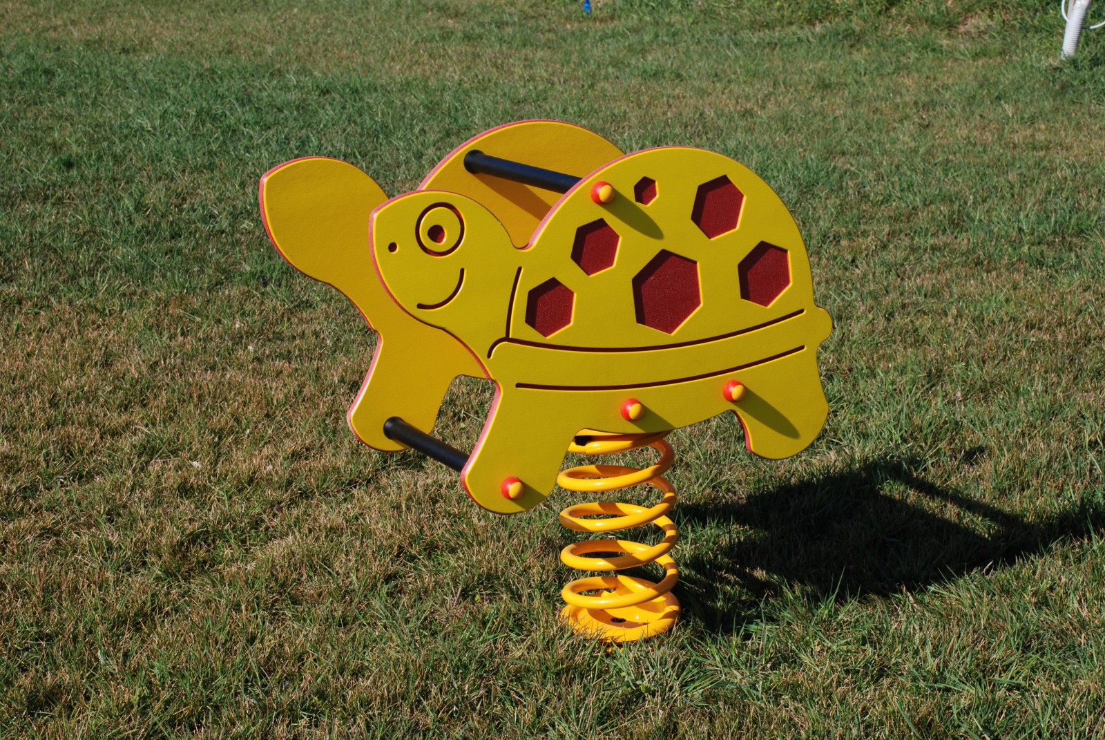 Testudo