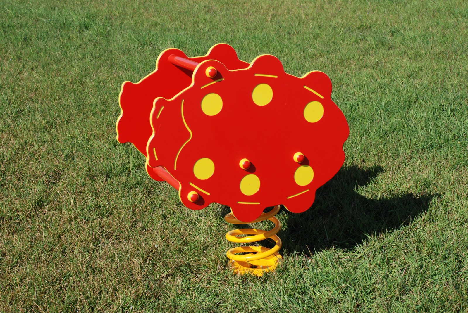 Coccinella